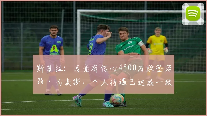 斯基拉：马竞有信心4500万欧签若昂·戈麦斯，个人待遇已达成一致